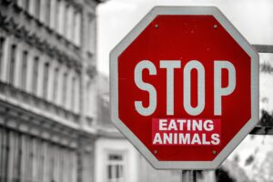 stop manger des animaux